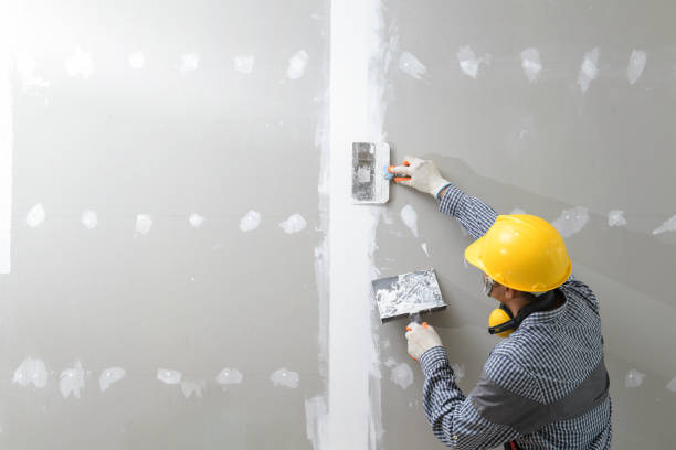 Best Water Damage & Mold Remediation  in Davison, MI