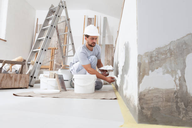 Mold Documentation for Insurance Claims in Davison, MI