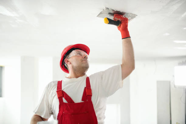 Best Mold Removal for HVAC Installations  in Davison, MI