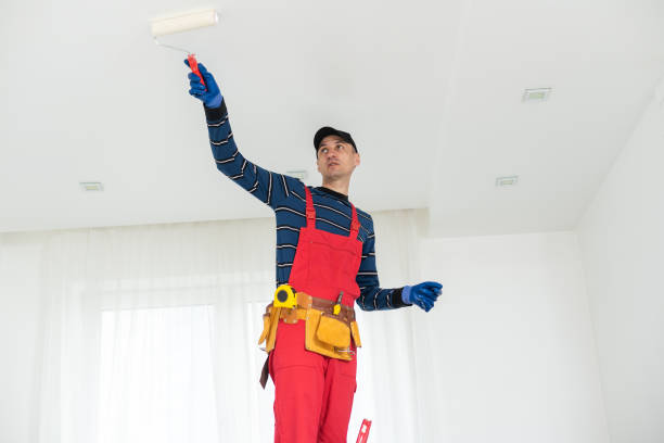 Best Mold Prevention Services  in Davison, MI